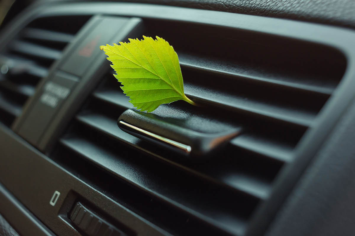 Grünes Blatt steckt bei der Autoklimaanlage 